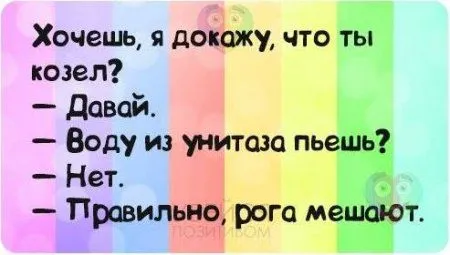 Картинки прикольные. Улыбка не помешает вам