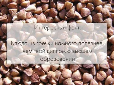 Картинки прикольные. Улыбка не помешает вам