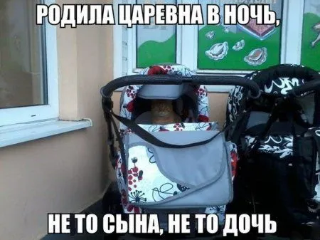 Картинки и фото приколы 100 процентный позитив