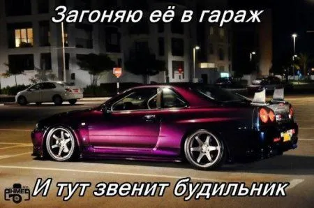 Картинки и фото приколы, любой может тут оказаться Картинки и фото приколы, любой может тут оказаться