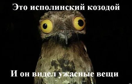 Картинки и фото приколы, любой может тут оказаться Картинки и фото приколы, любой может тут оказаться