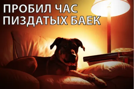 Картинки и фото приколы, любой может тут оказаться Картинки и фото приколы, любой может тут оказаться
