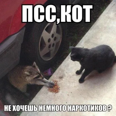 Мих Подборочка, только приколы на фото