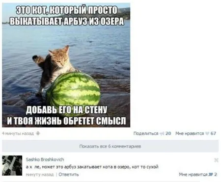 Подборка- Коментов из Соц Сетей
