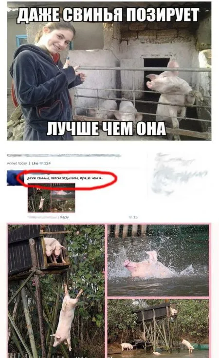 Картинки и фото приколы