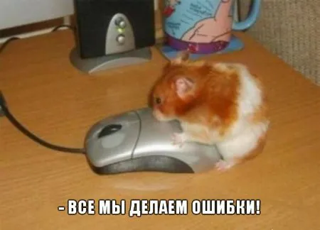 Прикольные картинки с животными