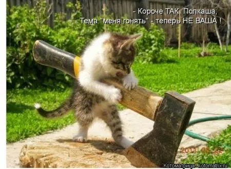 Прикольные картинки с животными