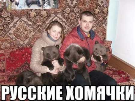 Фото приколы, ну просто ржачные картинки