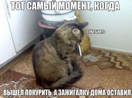 Без юмора живут только глупые