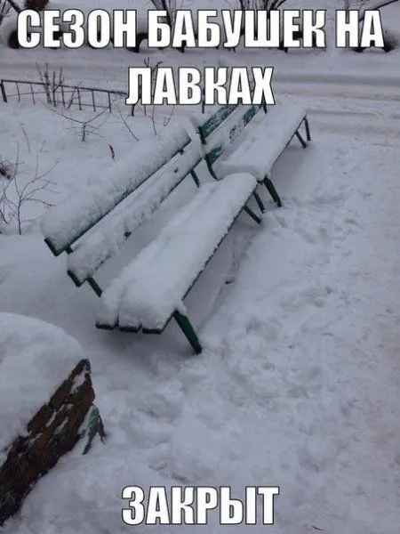 Без юмора живут только глупые