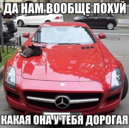Без юмора живут только глупые