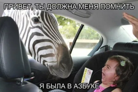 Без юмора живут только глупые