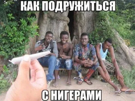 Без юмора живут только глупые