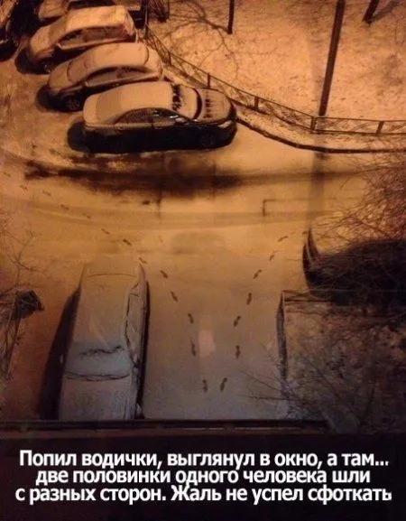 Без юмора живут только глупые