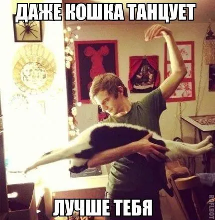 Без юмора живут только глупые