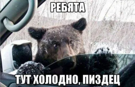 Без юмора живут только глупые