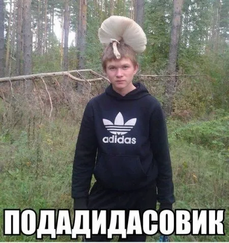 Без юмора живут только глупые