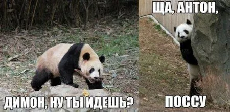 Приколы в выходной и все отлично Приколы в выходной и все отлично
