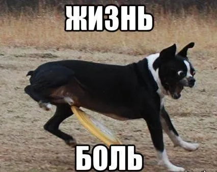 Приколы в выходной и все отлично Приколы в выходной и все отлично