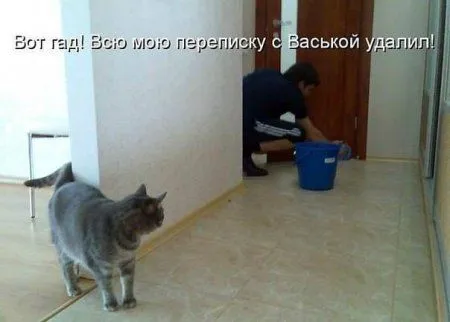 Приколы в выходной и все отлично Приколы в выходной и все отлично