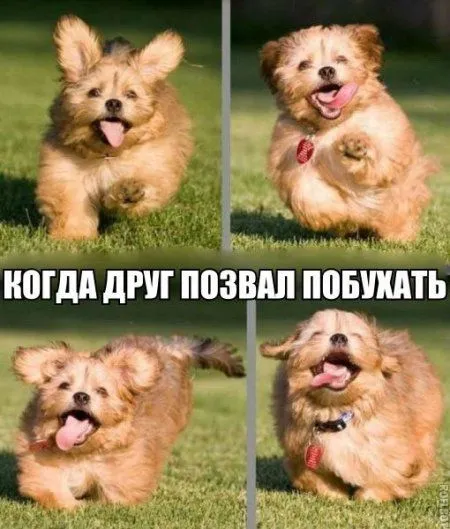 Приколы в выходной и все отлично Приколы в выходной и все отлично