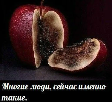 День, когда задумал, и есть счастливый день