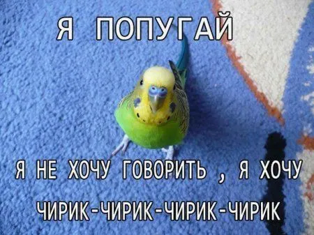 День, когда задумал, и есть счастливый день