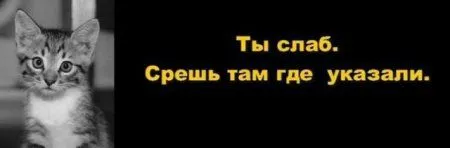 День, когда задумал, и есть счастливый день