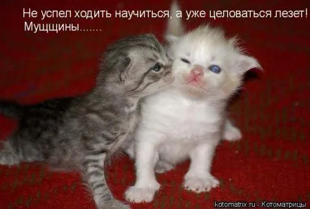 Кто сегодня не улыбался?