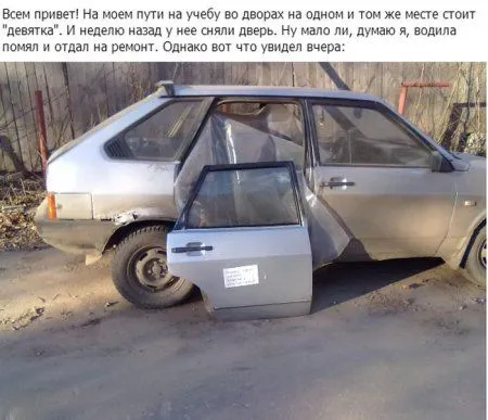 Фото приколы сделают позитивным твое утро