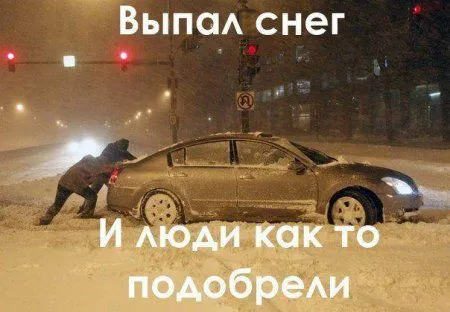 Фото приколы сделают позитивным твое утро