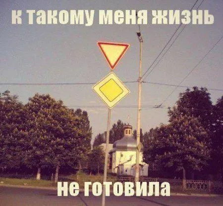 Фото приколы сделают позитивным твое утро