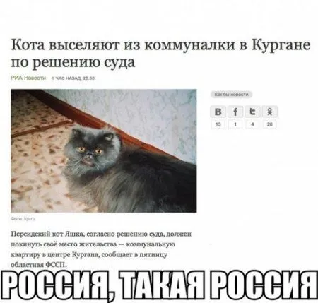 Фото приколы сделают позитивным твое утро