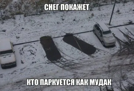 Фото приколы сделают позитивным твое утро