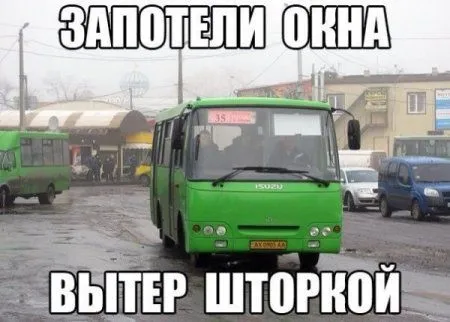 Фото приколы сделают позитивным твое утро