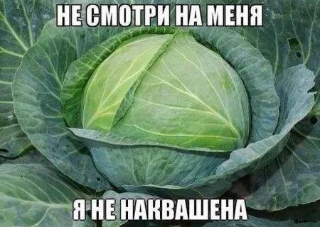 Картинки и фото, они у нас по особенному смешные