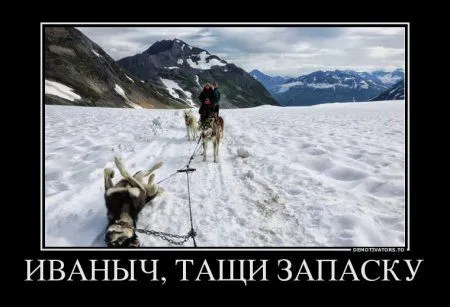 Демотиваторы, вокруг так много приколов
