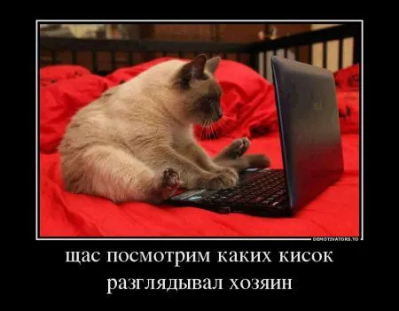 Демотиваторы, вокруг так много приколов