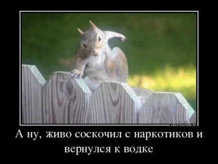 Демотиваторы, вокруг так много приколов