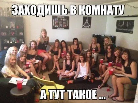 Приколы картинки и не скучать