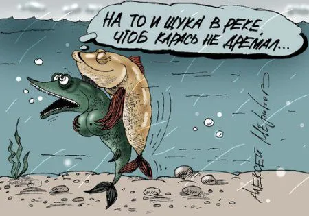 Ты смотришь правильные Карикатуры Ты смотришь правильные Карикатуры