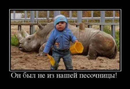 Демки в среду смотрим Демки в среду смотрим