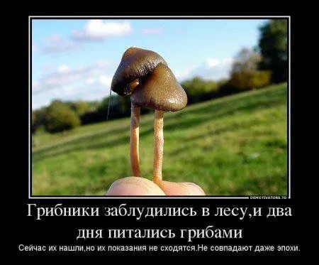 Демки в среду смотрим Демки в среду смотрим
