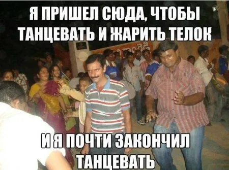 Кто-то собирает грибы, другие картошку, мы только новые фото приколы