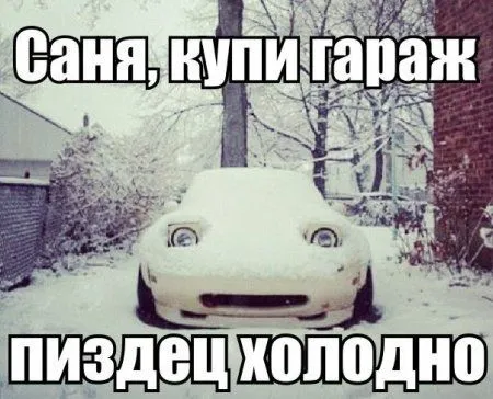 Мы способны и плакать и смеяться, смотря прикольные фото плакать как то неуместно