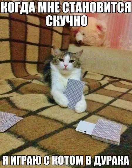 Все умеют писать, но не все умеют прикольно подписывать фото