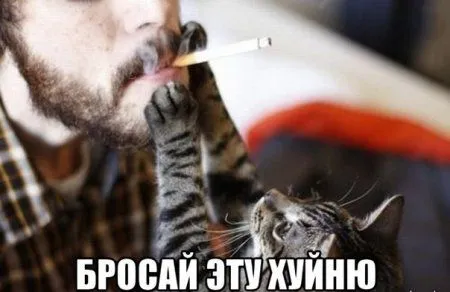 Все умеют писать, но не все умеют прикольно подписывать фото Все умеют писать, но не все умеют прикольно подписывать фото