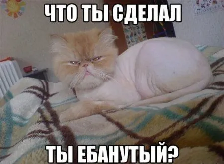 Все умеют писать, но не все умеют прикольно подписывать фото Все умеют писать, но не все умеют прикольно подписывать фото