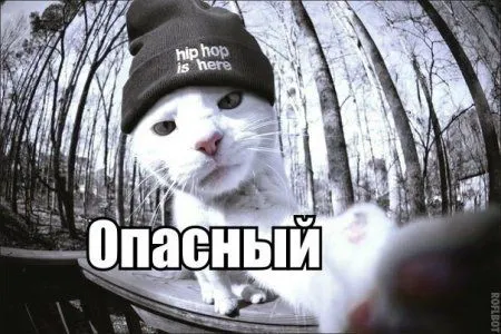 Все умеют писать, но не все умеют прикольно подписывать фото Все умеют писать, но не все умеют прикольно подписывать фото