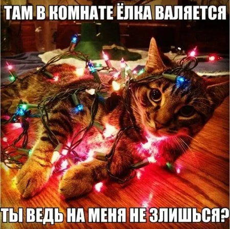 Все умеют писать, но не все умеют прикольно подписывать фото Все умеют писать, но не все умеют прикольно подписывать фото